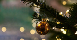 Jena sucht Weihnachtsbaum für Weihnachtsmarkt
