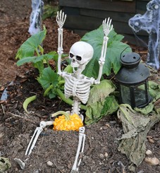 img_5658
