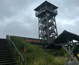 Vom großen Aussichtsturm aus ließen sich Rehe beobachten. Die sind allerdings keine Sommerloch-Tiere.