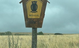 Der Nationalpark Hainich hat viele tierische Bewohner