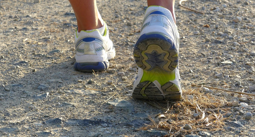 Rennsteig-Staffellauf mit Streckenrekorden