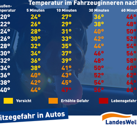 hund-im-auto_c_01