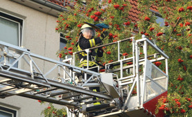 Bild: Feuerwehr Heiligenstadt