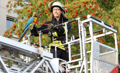 Heiligenstädter Feuerwehr rettet Papagei