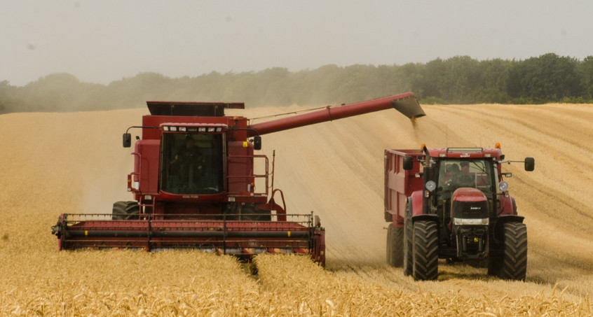 260 Bauern in Thüringen von Rekorddürre in Existenz bedroht