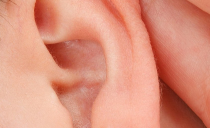 Forscher suchen Ohrenwackler