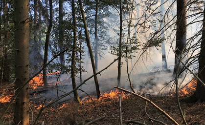 Feuer brennt 100 Meter tiefe Schneise in den Wald