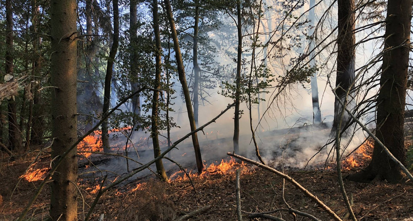 Feuer brennt 100 Meter tiefe Schneise in den Wald