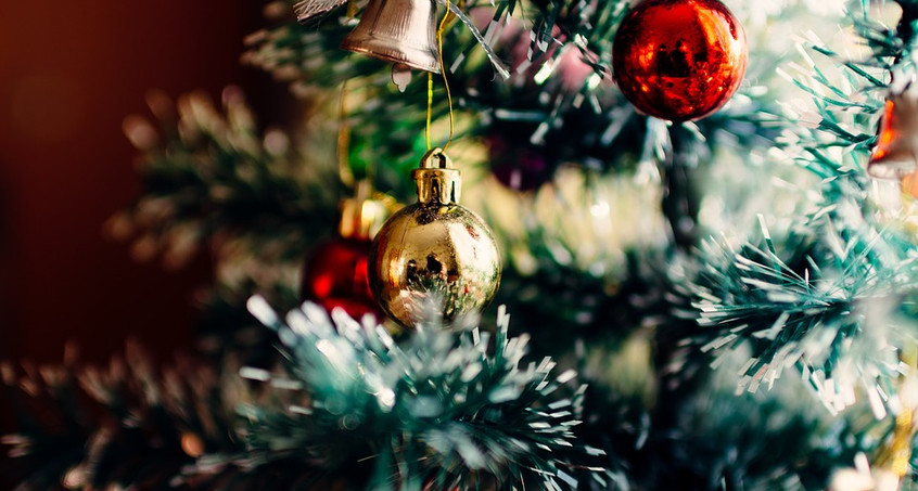 Schmalkalden sucht jetzt schon schöne Weihnachtsbäume