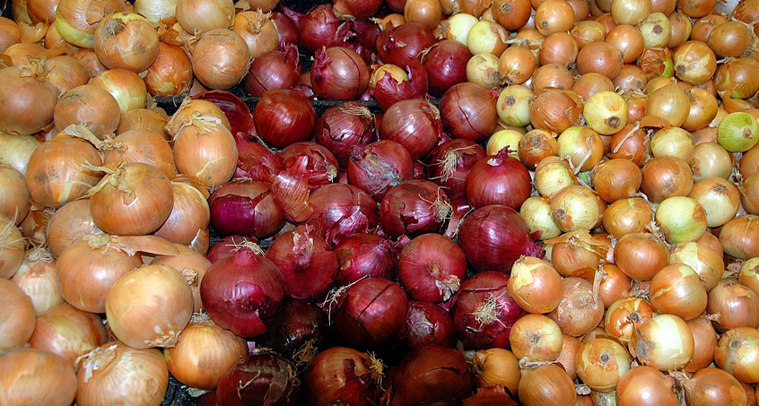 Zwiebelmarkt in Weimar in diesem Jahr mit weniger Händlern