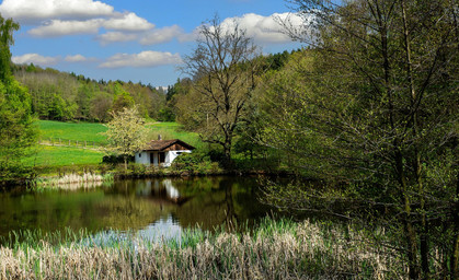 Der eigene Wald muss kein Traum mehr bleiben