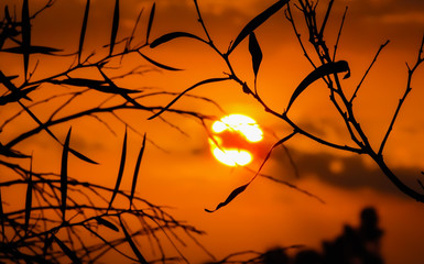 Blick auf Sonnenuntergang löst Polizeieinsatz aus