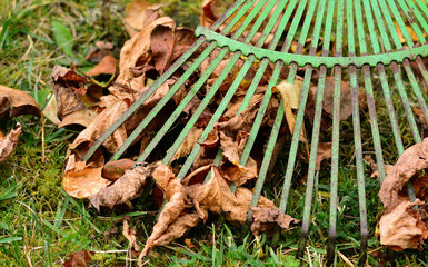 Den Garten winterfest machen