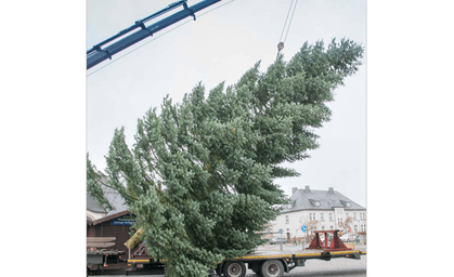 Sonneberg braucht einen neuen Weihnachtsbaum