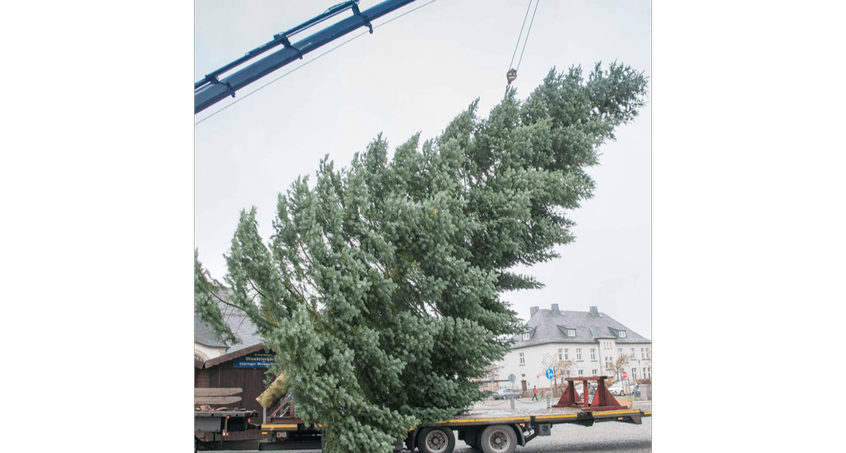 Sonneberg braucht einen neuen Weihnachtsbaum