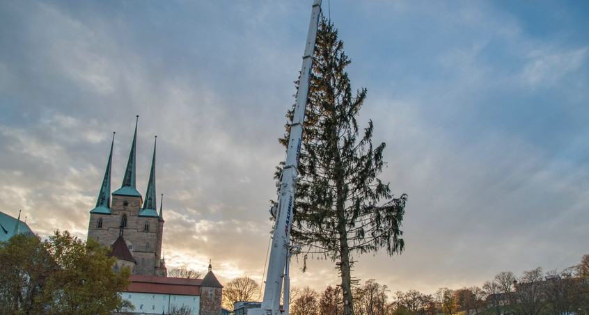 Ein fliegender Weihnachtsbaum