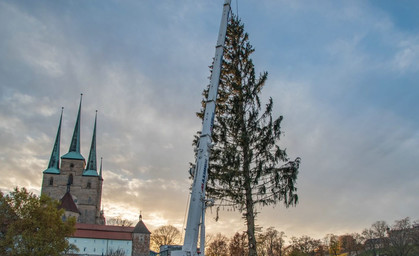 Ein fliegender Weihnachtsbaum