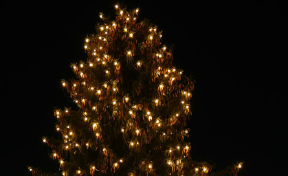 Weihnachtsbaum wird heute aufgestellt