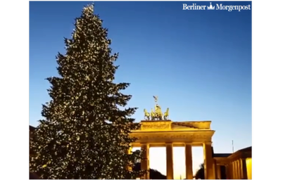 Weihnachtsbaum vorm Brandenburger Tor kommt auch dieses Jahr aus Thüringen