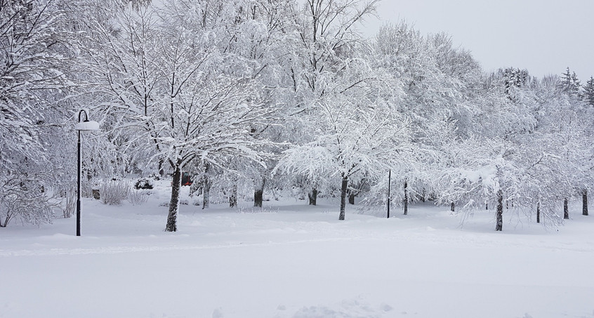 Schneemassen sorgen für Sperrungen, auch Sportplätze betroffen