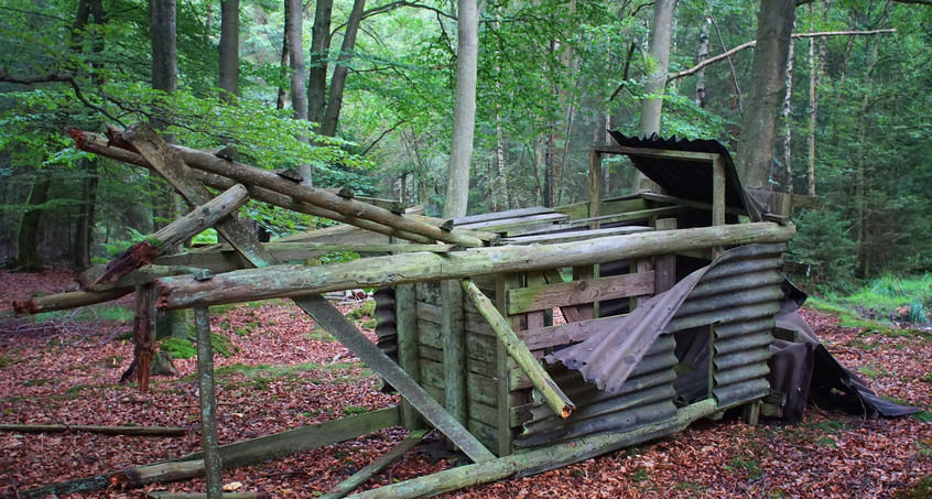 Erste Bilanz nach Sturm Eberhard