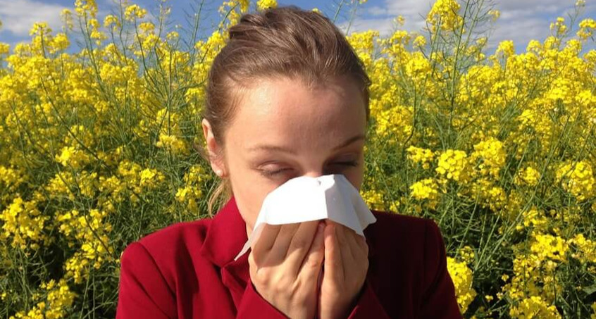 Frühlingszeit = Allergiezeit - Märchen & Mythen