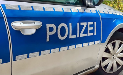 Schafe sterben bei Zusammenstoß mit Auto 