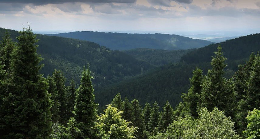Mehr Touristen kommen nach Thüringen