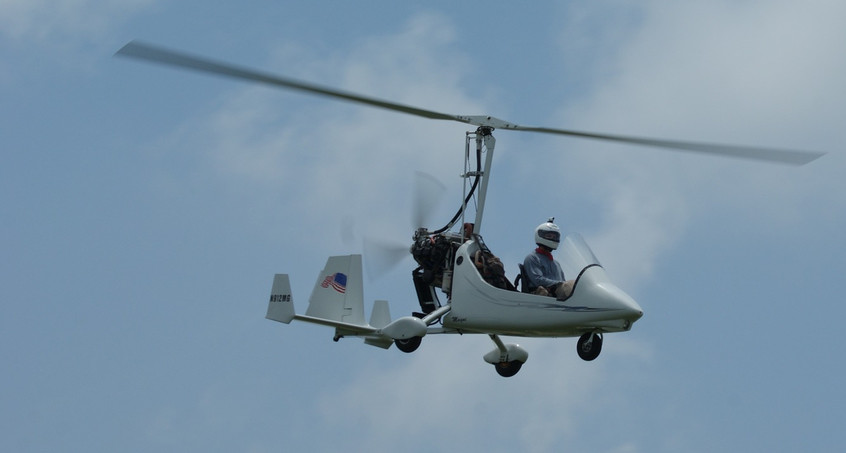 Den Borkenkäfer mit Leichtflugzeug aus der Luft aufspüren