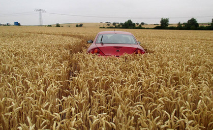 Das etwas andere Bett im Kornfeld