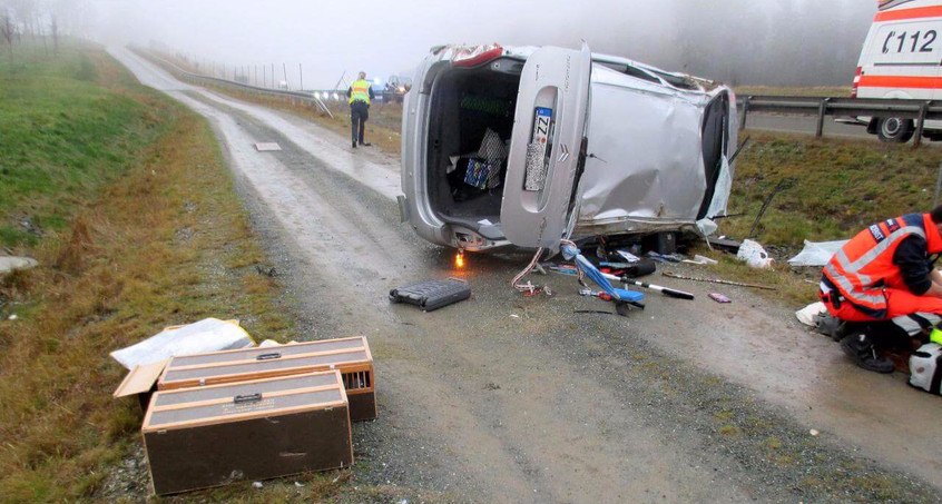 Rentner mit Tauben an Bord überschlägt sich auf A9