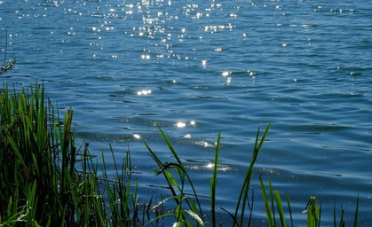 Rettungsaktion für Fische in Sondershausen