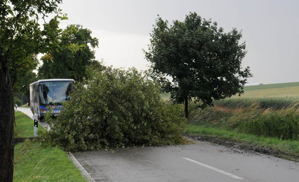 Sturm Mortimer sorgt für Schäden