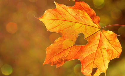 Herbstferien in Thüringen starten