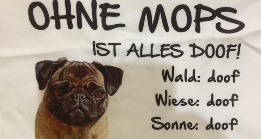 Immer mehr Hunde in Thüringen