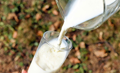 Produktrückruf von 1,5% frischen Milch