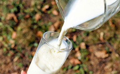 Produktrückruf von 1,5% frischen Milch