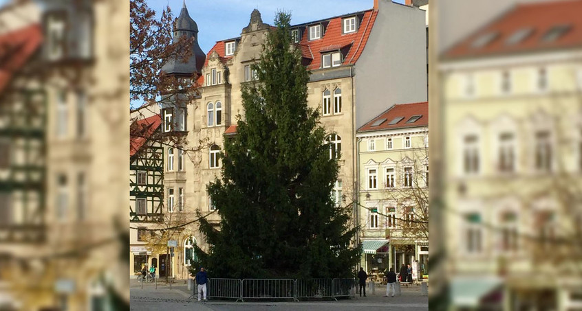 Eisenacher Weihnachtsbaum aufgestellt