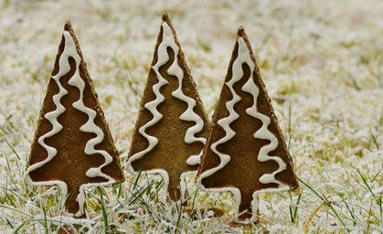 Genug Weihnachtsbäume trotz Hitzesommer 