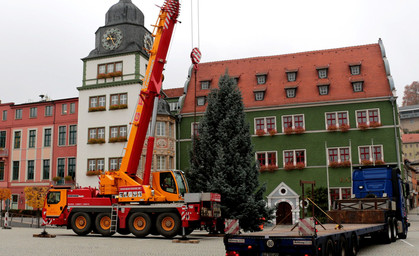 Weihnachtsbaum in Rudolstadt aufgestellt