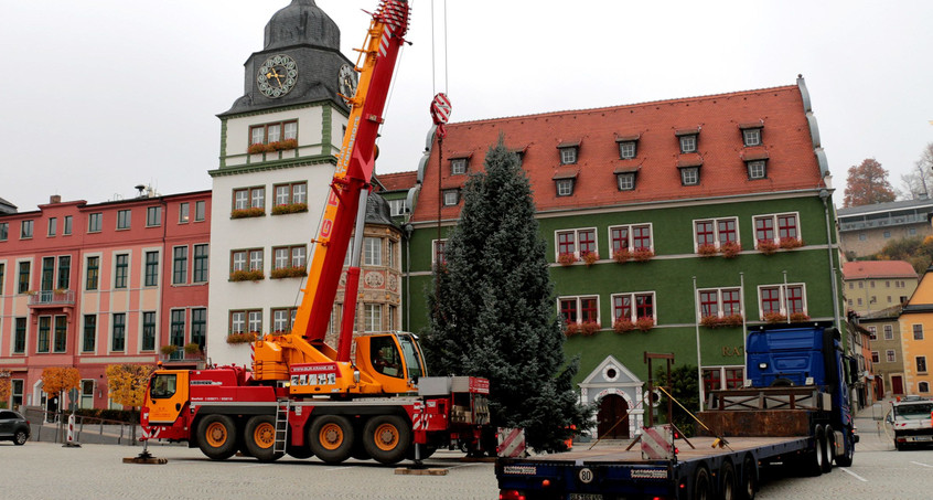 Weihnachtsbaum in Rudolstadt aufgestellt