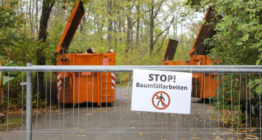 Baumfällarbeiten im Erfurter Zoo gehen weiter
