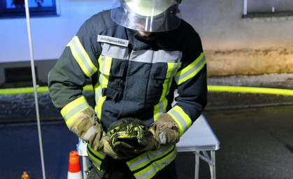 Schildkröte bei Wohnhausbrand gerettet, Bewohner verletzt