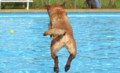 Freibadwetter ohne offene Freibäder?