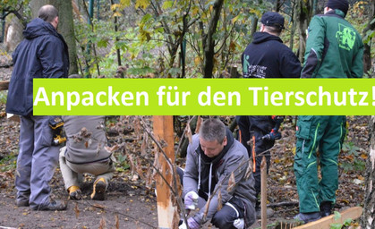 Bärenpark gemeinsam auf den Winter vorbereiten