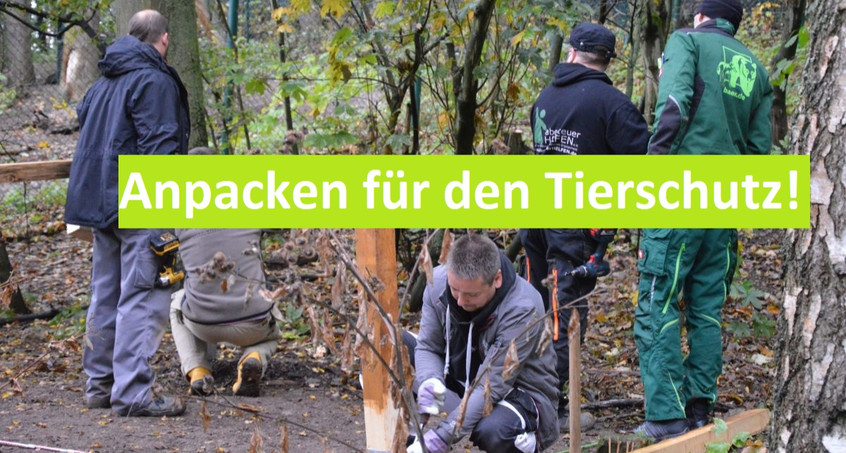 Bärenpark gemeinsam auf den Winter vorbereiten