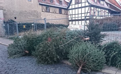 Tschau Weihnachtsbaum