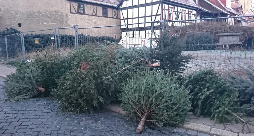Tschau Weihnachtsbaum