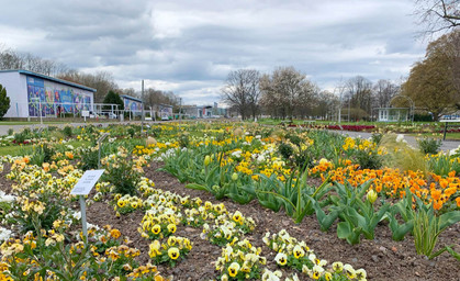 Bundesgartenschau in Erfurt soll planmäßig starten