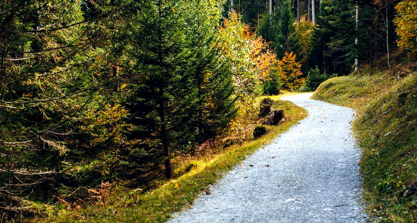 Die schönsten Wanderwege in Thüringen